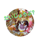 海の中の可愛い魚たちと日常会話（個別スタンプ：28）