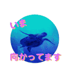 海の中の可愛い魚たちと日常会話（個別スタンプ：29）