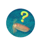 海の中の可愛い魚たちと日常会話（個別スタンプ：35）