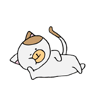 おだやかネコちゃん（個別スタンプ：11）