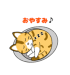 仲良し猫のじん＆はな（個別スタンプ：3）