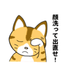 仲良し猫のじん＆はな（個別スタンプ：17）