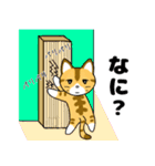 仲良し猫のじん＆はな（個別スタンプ：19）