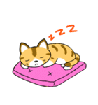 仲良し猫のじん＆はな（個別スタンプ：20）
