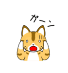 仲良し猫のじん＆はな（個別スタンプ：21）