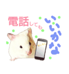 ハムハム兄弟（個別スタンプ：2）