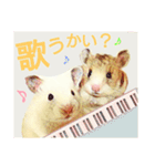 ハムハム兄弟（個別スタンプ：4）