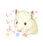 ハムハム兄弟（個別スタンプ：5）