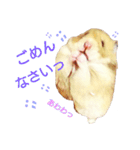 ハムハム兄弟（個別スタンプ：7）