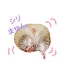 ハムハム兄弟（個別スタンプ：10）
