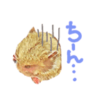 ハムハム兄弟（個別スタンプ：14）