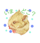 ハムハム兄弟（個別スタンプ：20）