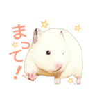 ハムハム兄弟（個別スタンプ：21）