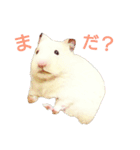 ハムハム兄弟（個別スタンプ：22）