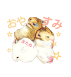 ハムハム兄弟（個別スタンプ：23）