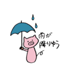 土佐弁のこぶたさんスタンプ（個別スタンプ：8）