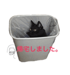 黒猫かりんとうと三毛猫きなこ（個別スタンプ：8）
