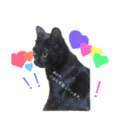 黒猫かりんとうと三毛猫きなこ（個別スタンプ：14）