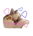 黒猫かりんとうと三毛猫きなこ（個別スタンプ：23）
