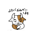 おっさんホルスタイン（個別スタンプ：11）