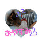 マァの愛犬セーヌ（個別スタンプ：6）