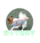マァの愛犬セーヌ（個別スタンプ：7）
