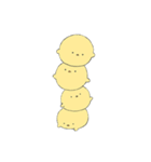 よいこのひよこすたんぷ（個別スタンプ：24）