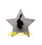 愛犬ブラックタン 2（個別スタンプ：5）