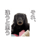愛犬ブラックタン 2（個別スタンプ：18）