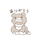 ふわふわいぬさん。（個別スタンプ：3）