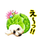 ぼく、モンド。（個別スタンプ：2）
