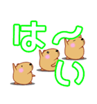 きゃぴばら【でか文字】（個別スタンプ：3）