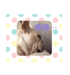 可愛い福ちゃんスタンプ（個別スタンプ：12）