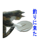 マル子スタンプ（個別スタンプ：19）