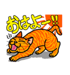 猫とりどり（個別スタンプ：1）