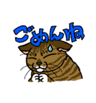猫とりどり（個別スタンプ：6）