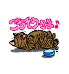 猫とりどり（個別スタンプ：10）
