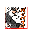 猫とりどり（個別スタンプ：11）