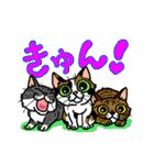 猫とりどり（個別スタンプ：15）