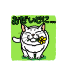猫とりどり（個別スタンプ：16）