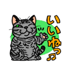 猫とりどり（個別スタンプ：19）