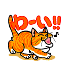 猫とりどり（個別スタンプ：20）