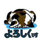 猫とりどり（個別スタンプ：21）