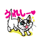 猫とりどり（個別スタンプ：22）
