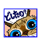 猫とりどり（個別スタンプ：28）