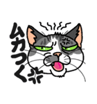 猫とりどり（個別スタンプ：35）