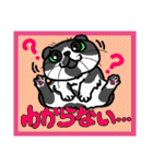 猫とりどり（個別スタンプ：37）