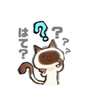 猫がいっぱい。（個別スタンプ：13）