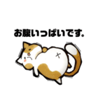 猫がいっぱい。（個別スタンプ：16）