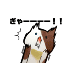 猫がいっぱい。（個別スタンプ：20）